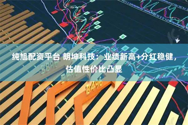 纯旭配资平台 朗坤科技：业绩新高+分红稳健，估值性价比凸显