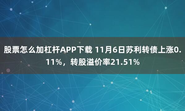 股票怎么加杠杆APP下载 11月6日苏利转债上涨0.11%，转股溢价率21.51%