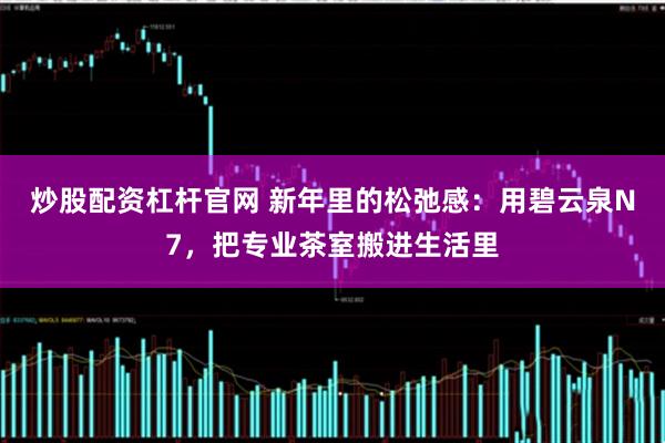 炒股配资杠杆官网 新年里的松弛感：用碧云泉N7，把专业茶室搬进生活里